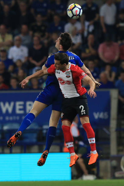 中的頂尖球 中的頂尖球